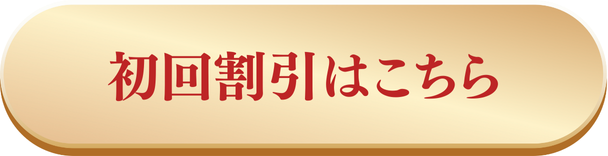 商品カートにつながるリンクボタンです。